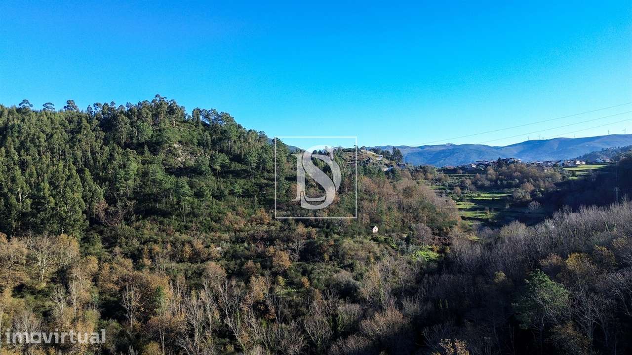 Quinta da Pinha em Bustelo - Amarante - Grande imagem: 2/22