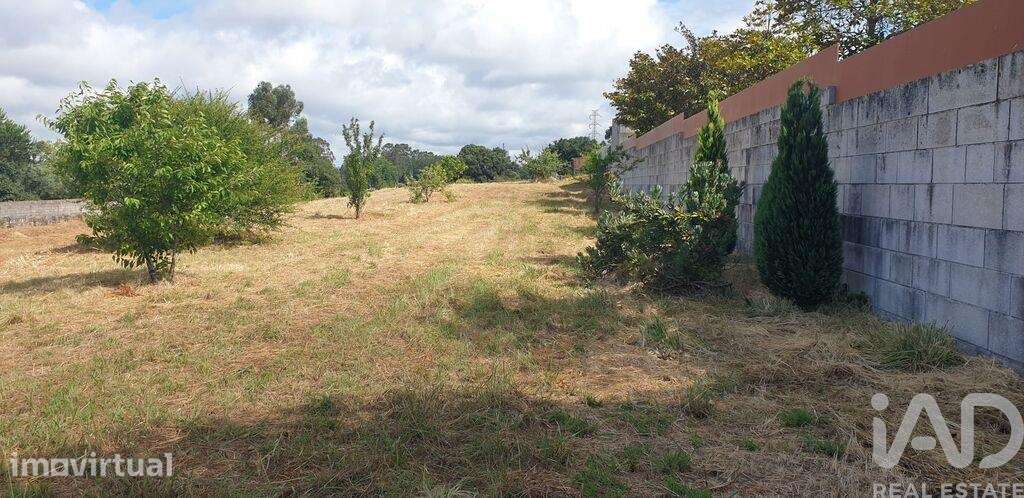 Terreno para construção em Custóias, Leça do Balio e Guifões - Grande imagem: 4/8