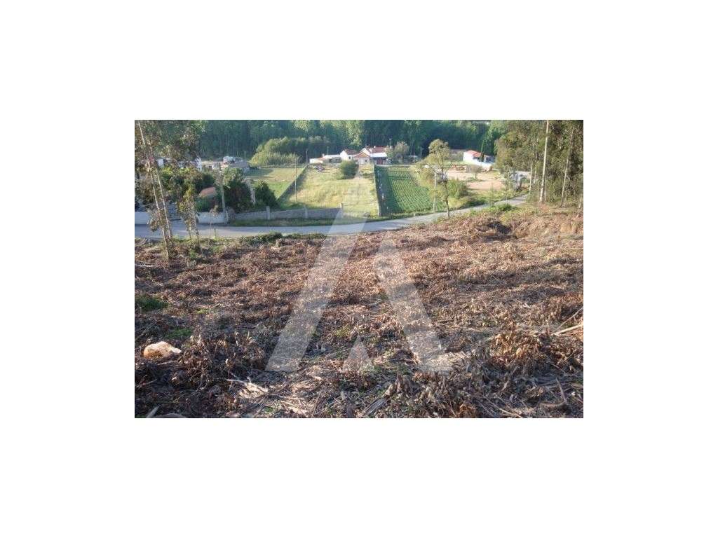 Terreno - Grande imagem: 3/5