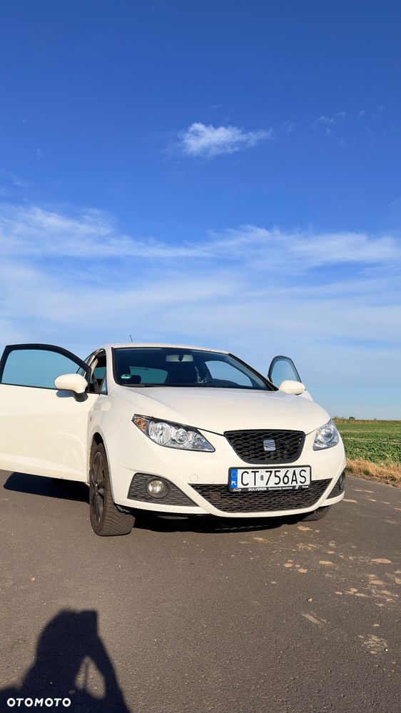 Seat Ibiza - 33