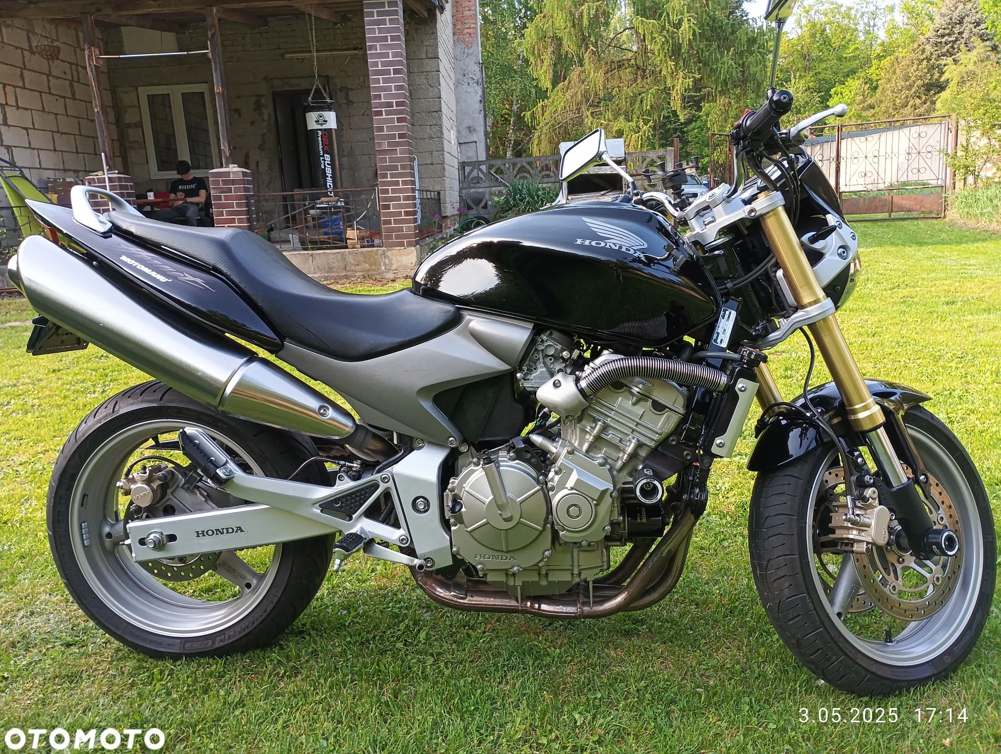 Honda Hornet - 1