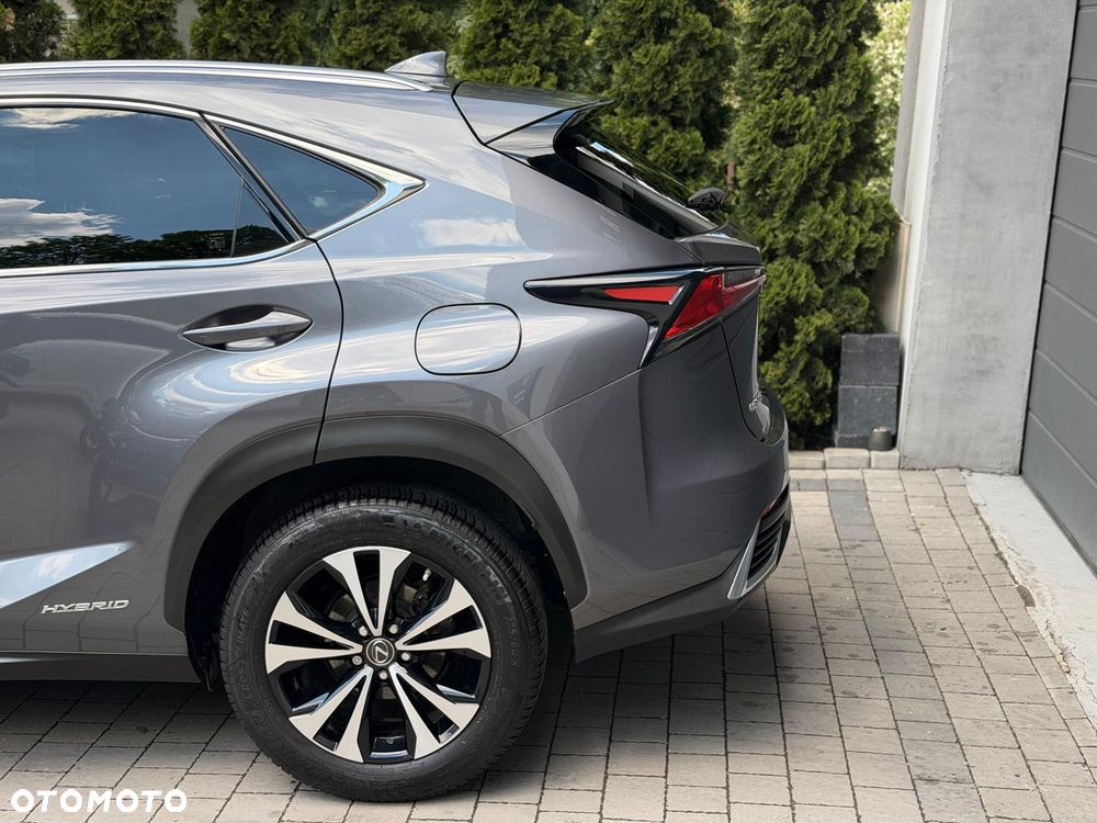 Lexus NX - 8