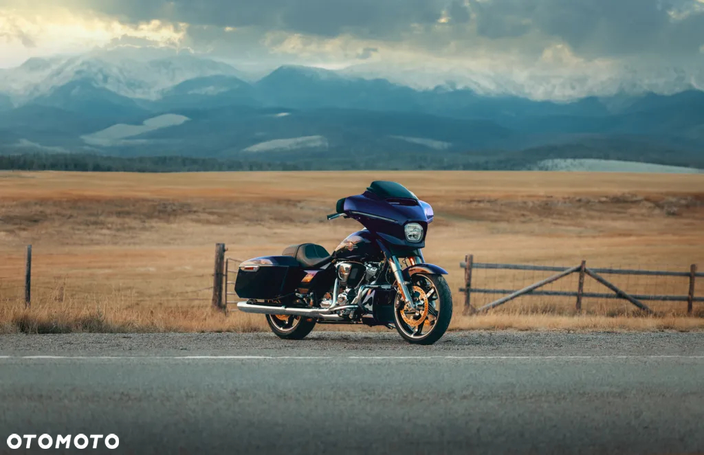 Harley-Davidson Touring Street Glide - 17