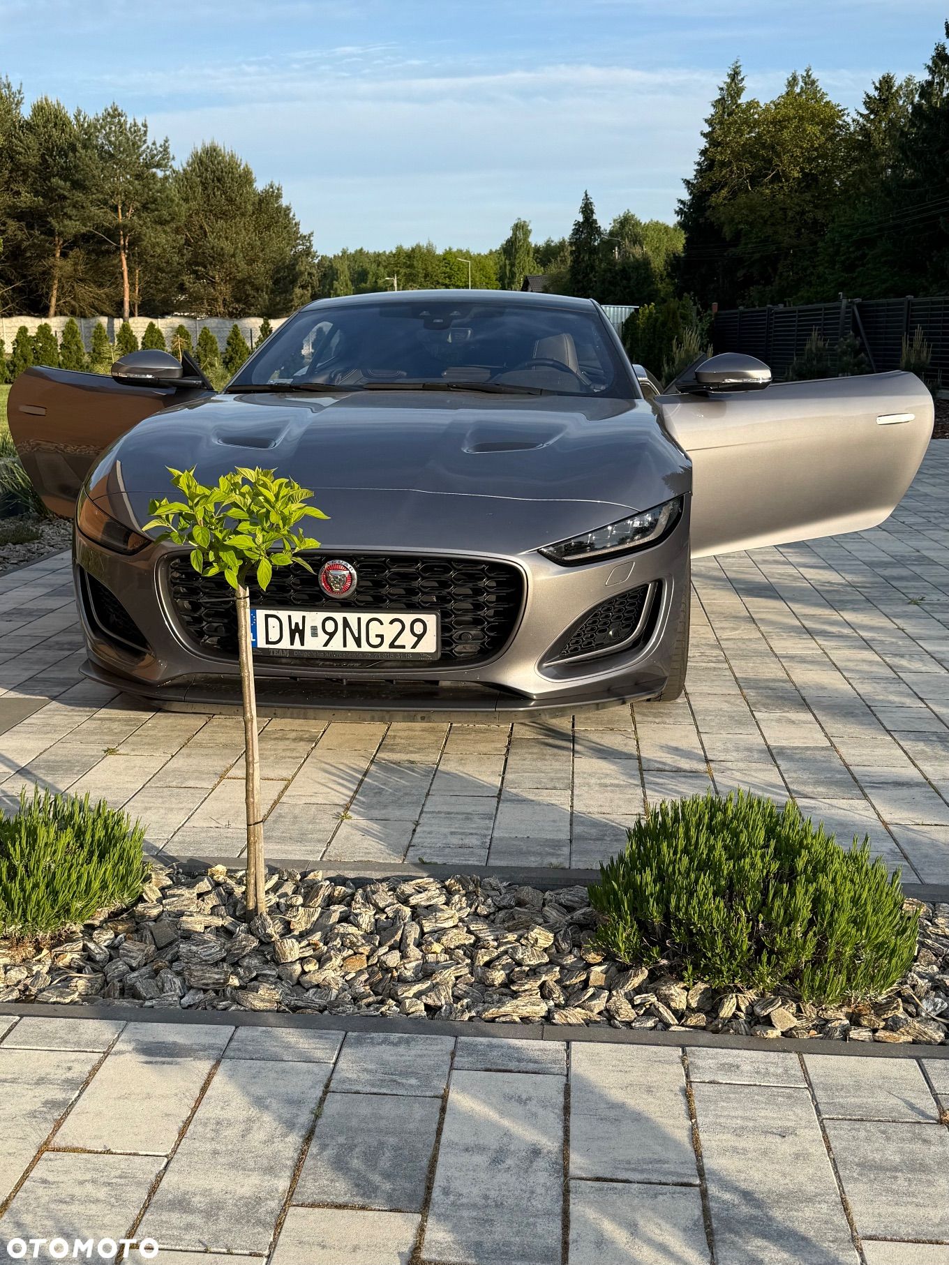 Jaguar F-Type 2.0 Turbo First Edition - 1