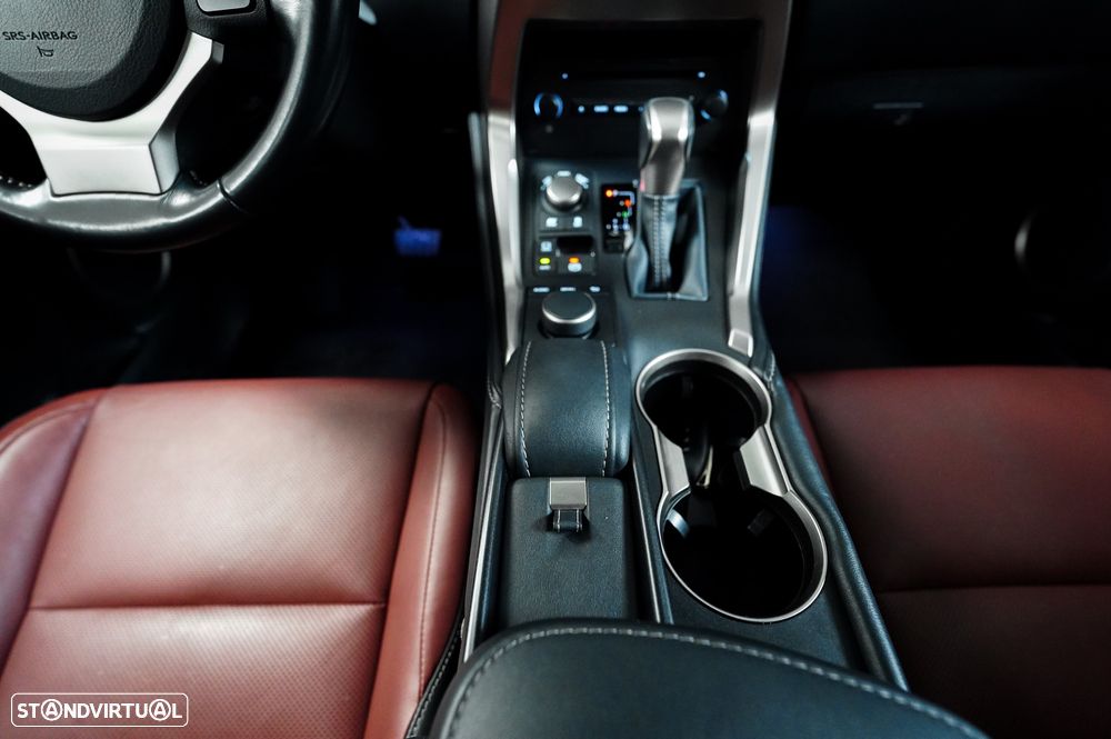 Lexus NX 300h Executive Plus 4WD - 22