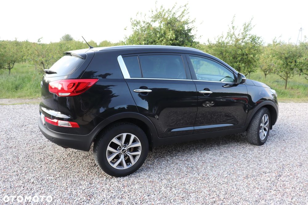 Kia Sportage 1.6 GDI Business Line L 2WD - 15