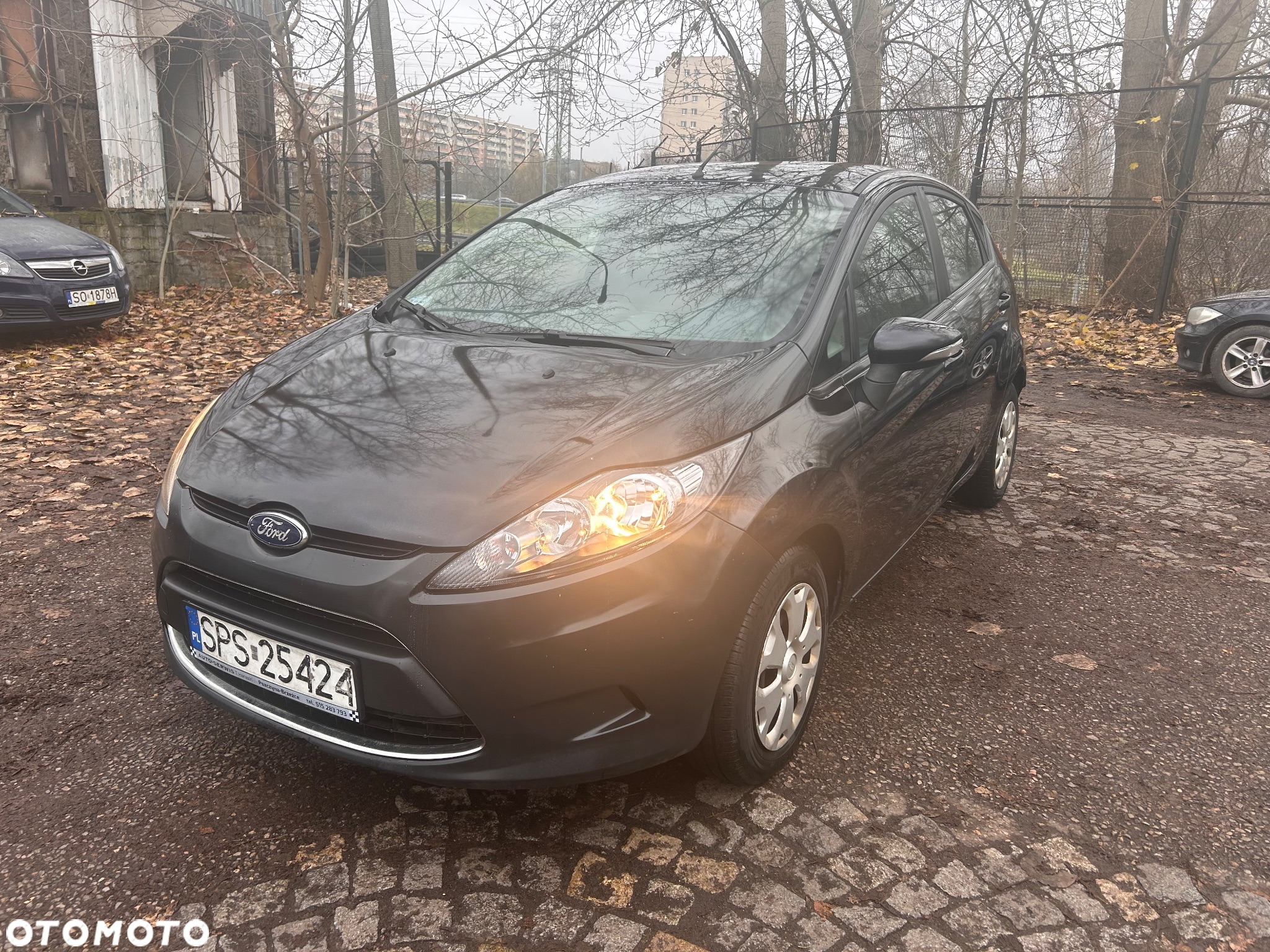Ford Fiesta 1.4 TDCi Platinium X - 2