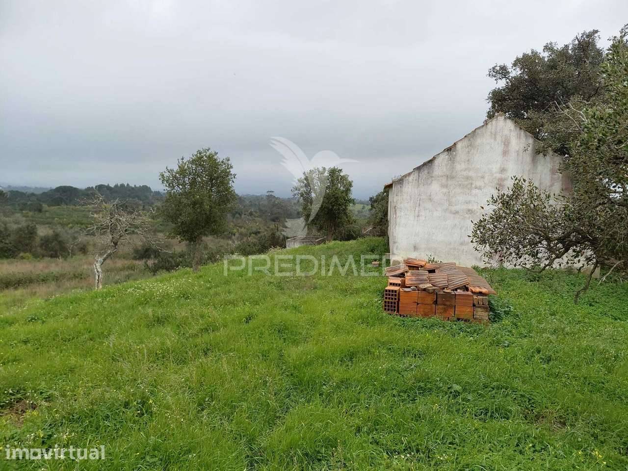 Monte Alentejano com 5,6 hc,São Francisco Serra, Santiago do Cacém. - Grande imagem: 4/30