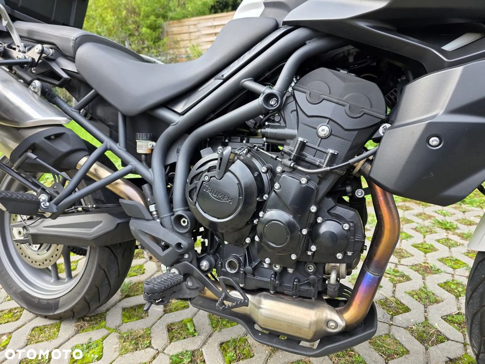 Triumph Tiger - 13