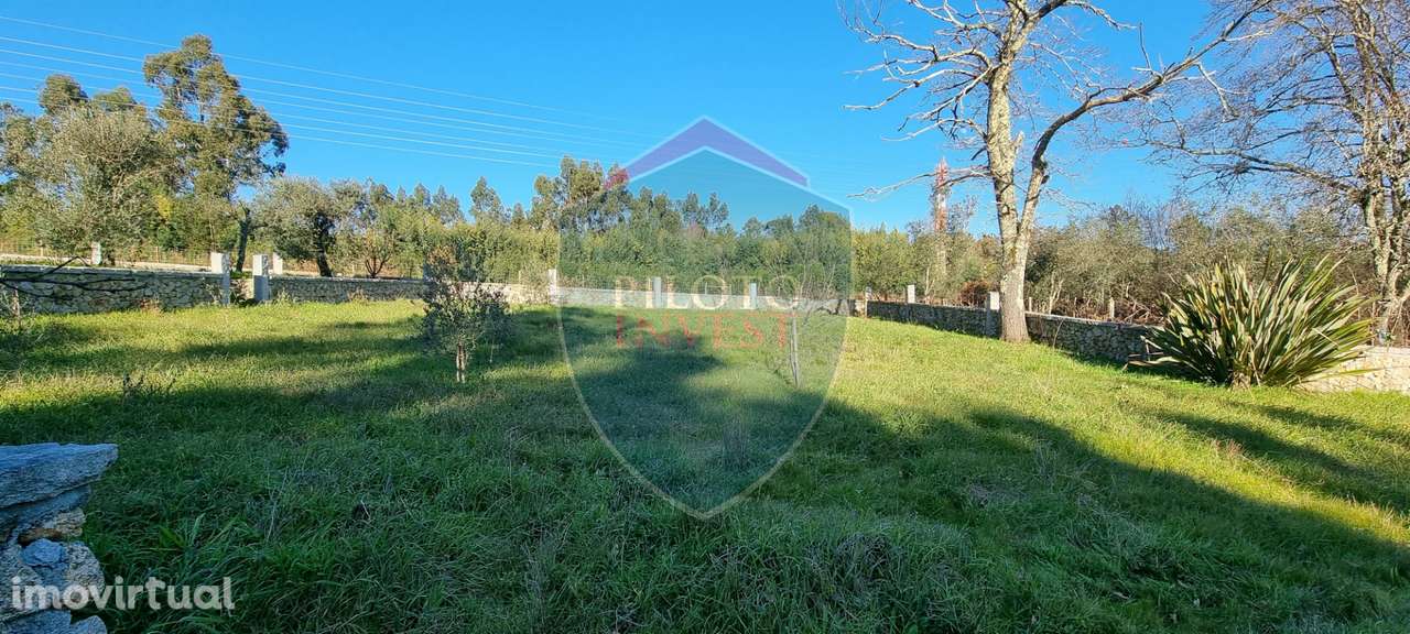 Quinta  Venda em Rio de Loba,Viseu - Grande imagem: 3/10