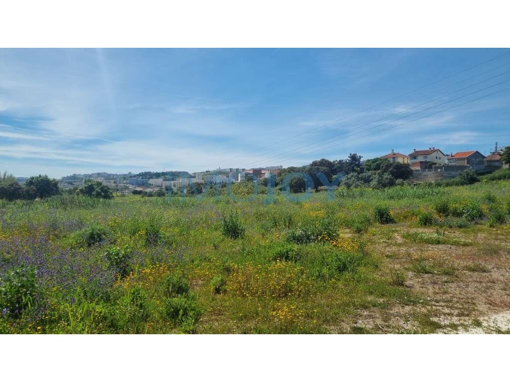 Terreno para Construção em Loures - Grande imagem: 2/10