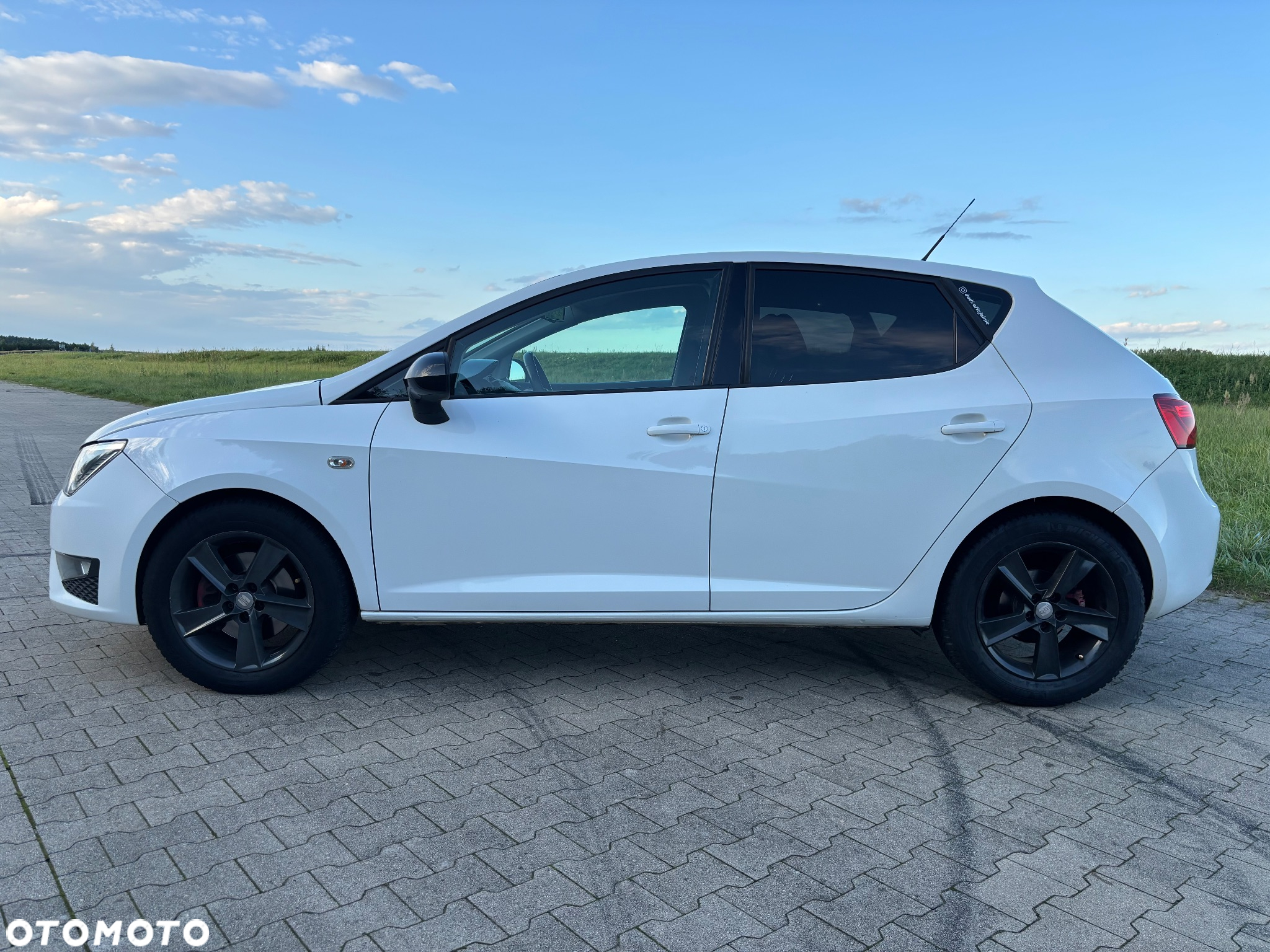 Seat Ibiza 2.0 TDI FR - 2