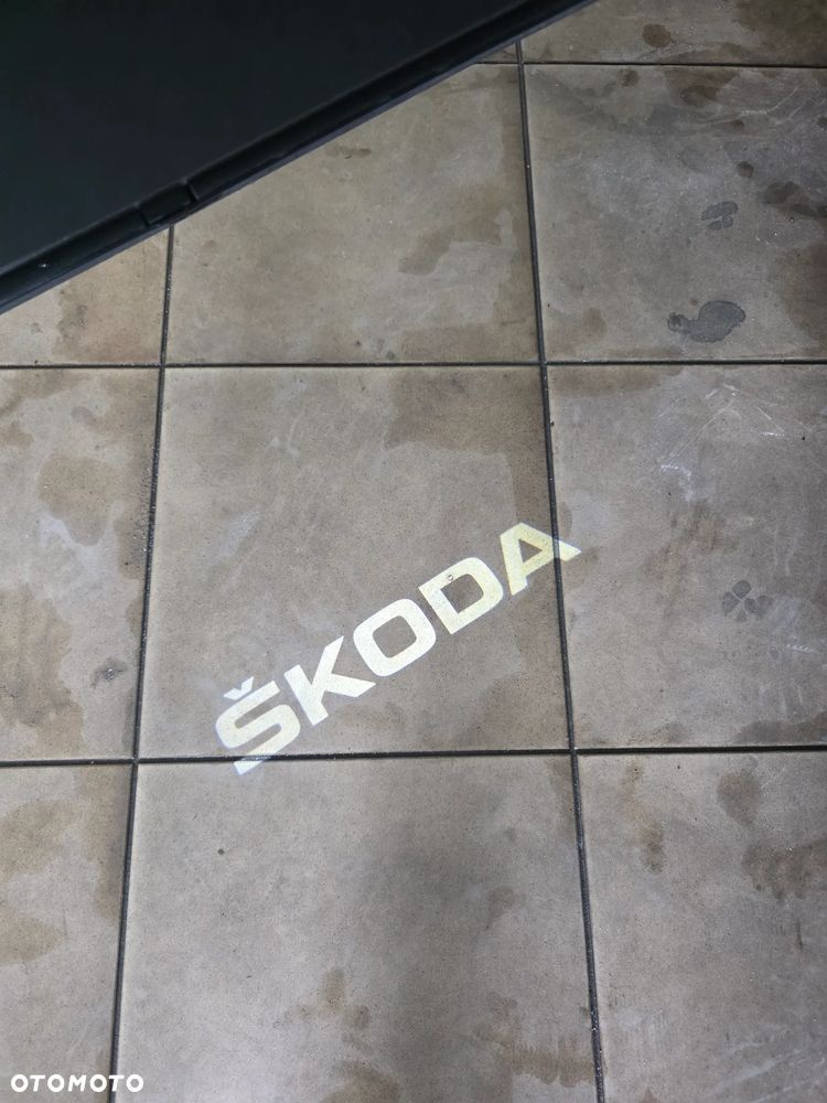 Skoda Karoq 1.5 TSI ACT 4x2 Ambition DSG - 24