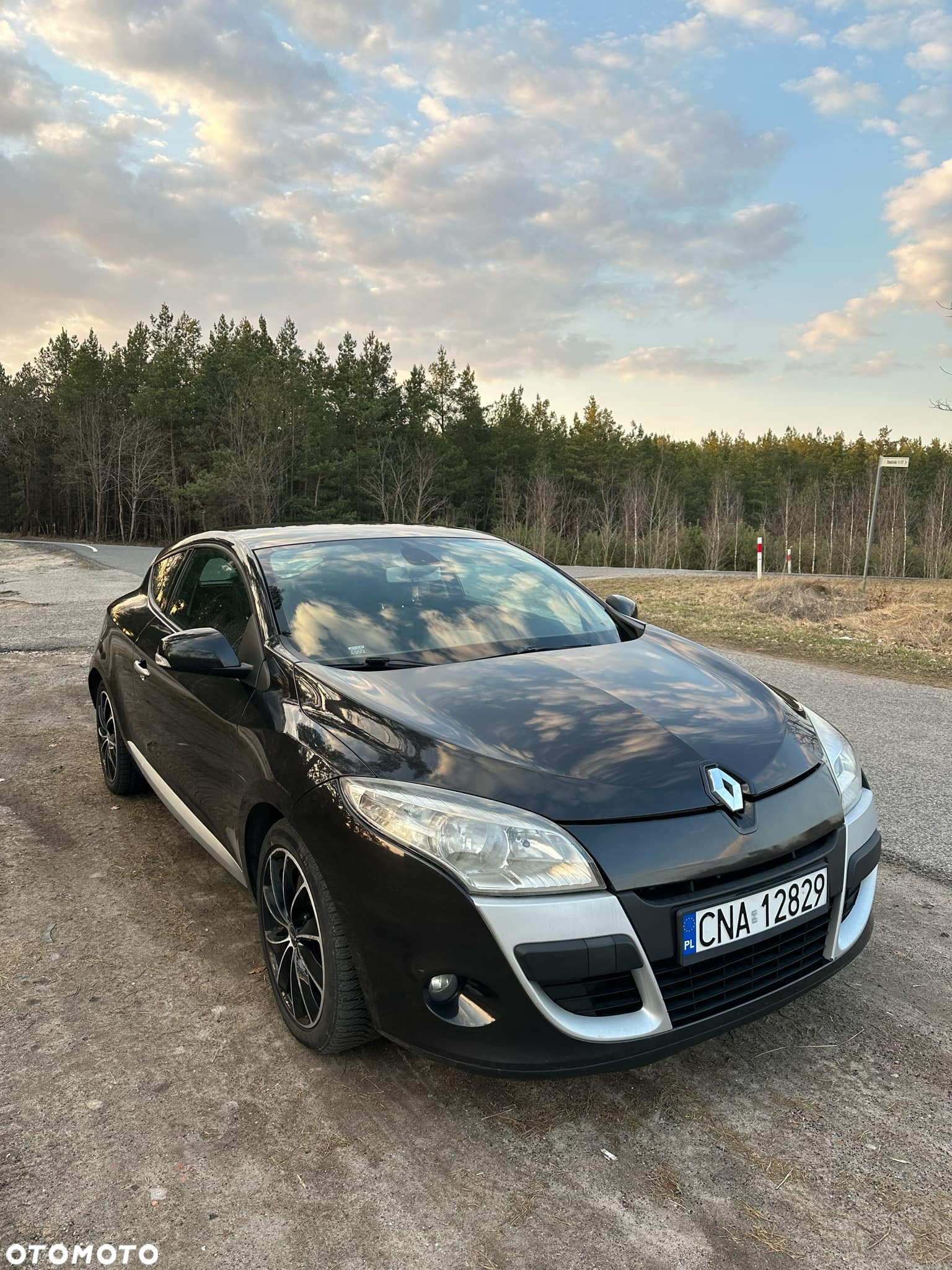 Renault Megane CC 1.6 16V Authentique - 2