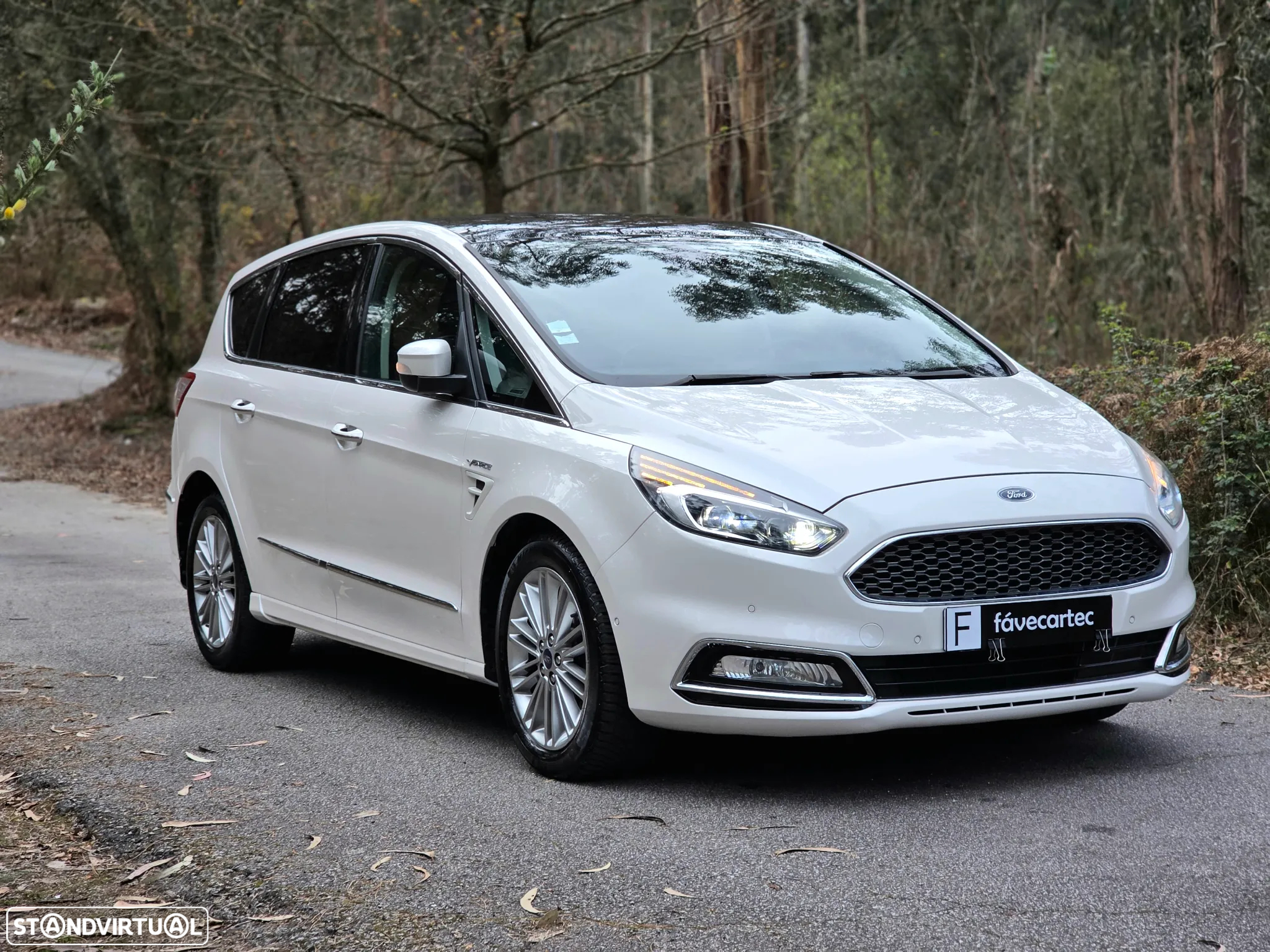 Ford S-Max 2.0 TDCi Vignale Powershift - 26
