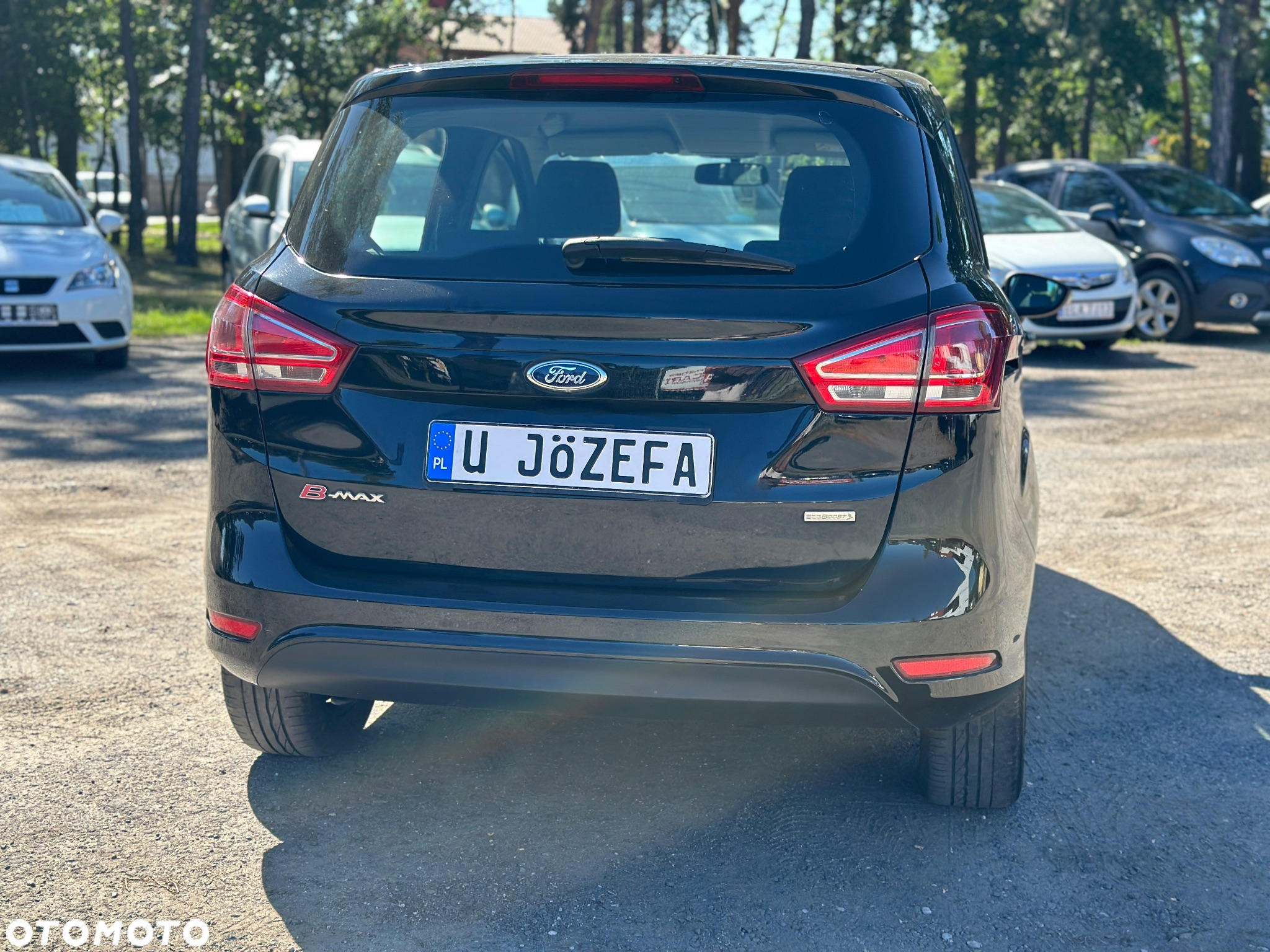 Ford B-MAX 1.0 EcoBoost Trend - 8