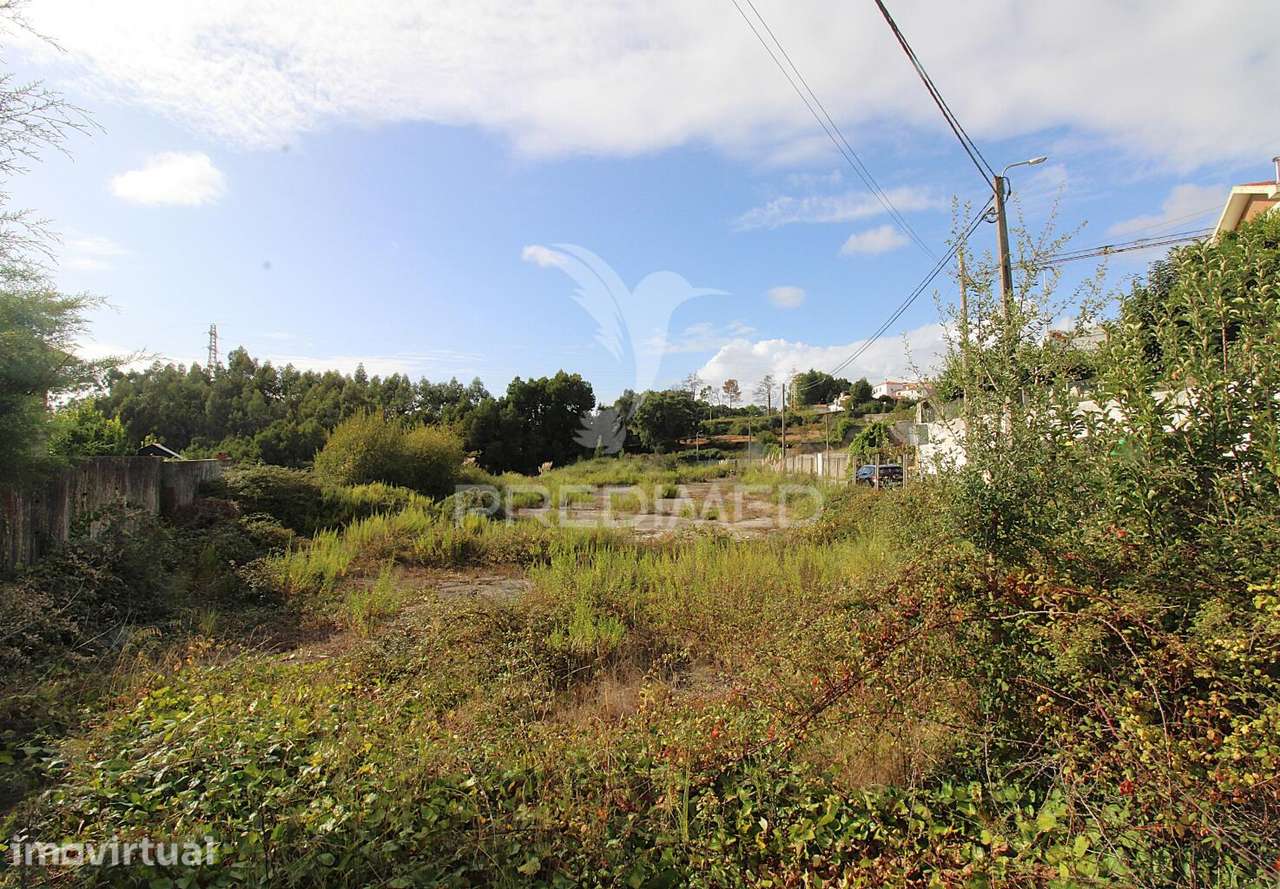 Terreno Urbano  na Encosta do Douro com Vista Rio - Grande imagem: 5/10