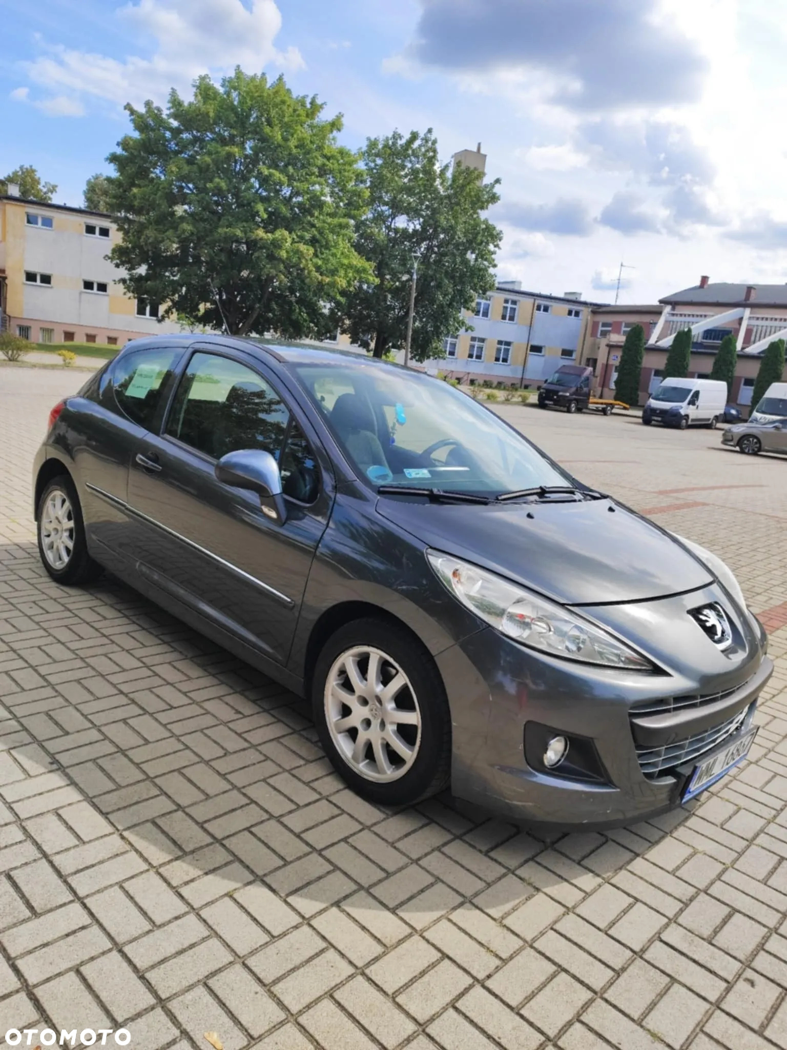 Peugeot 207 - 8