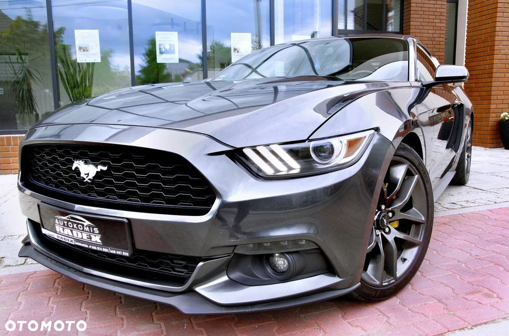 Ford Mustang - 19