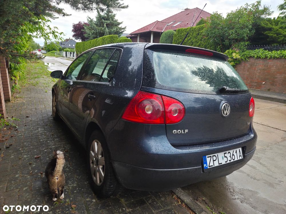 Volkswagen Golf - 15