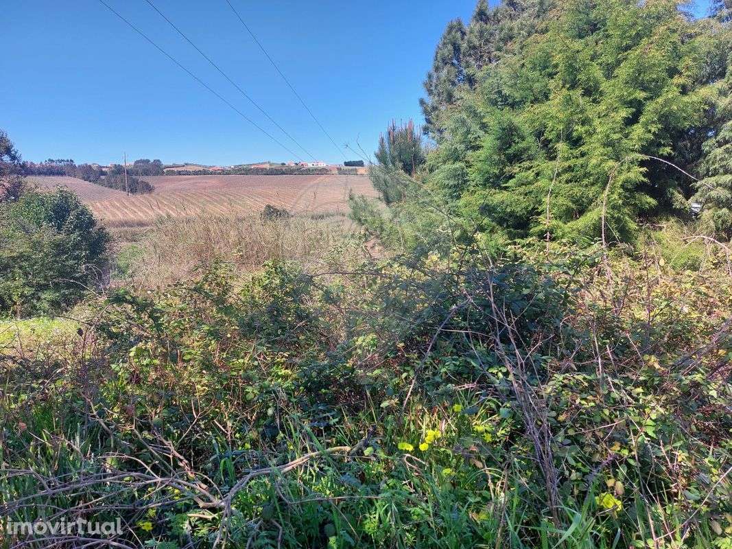 Terreno  para venda - Grande imagem: 4/14