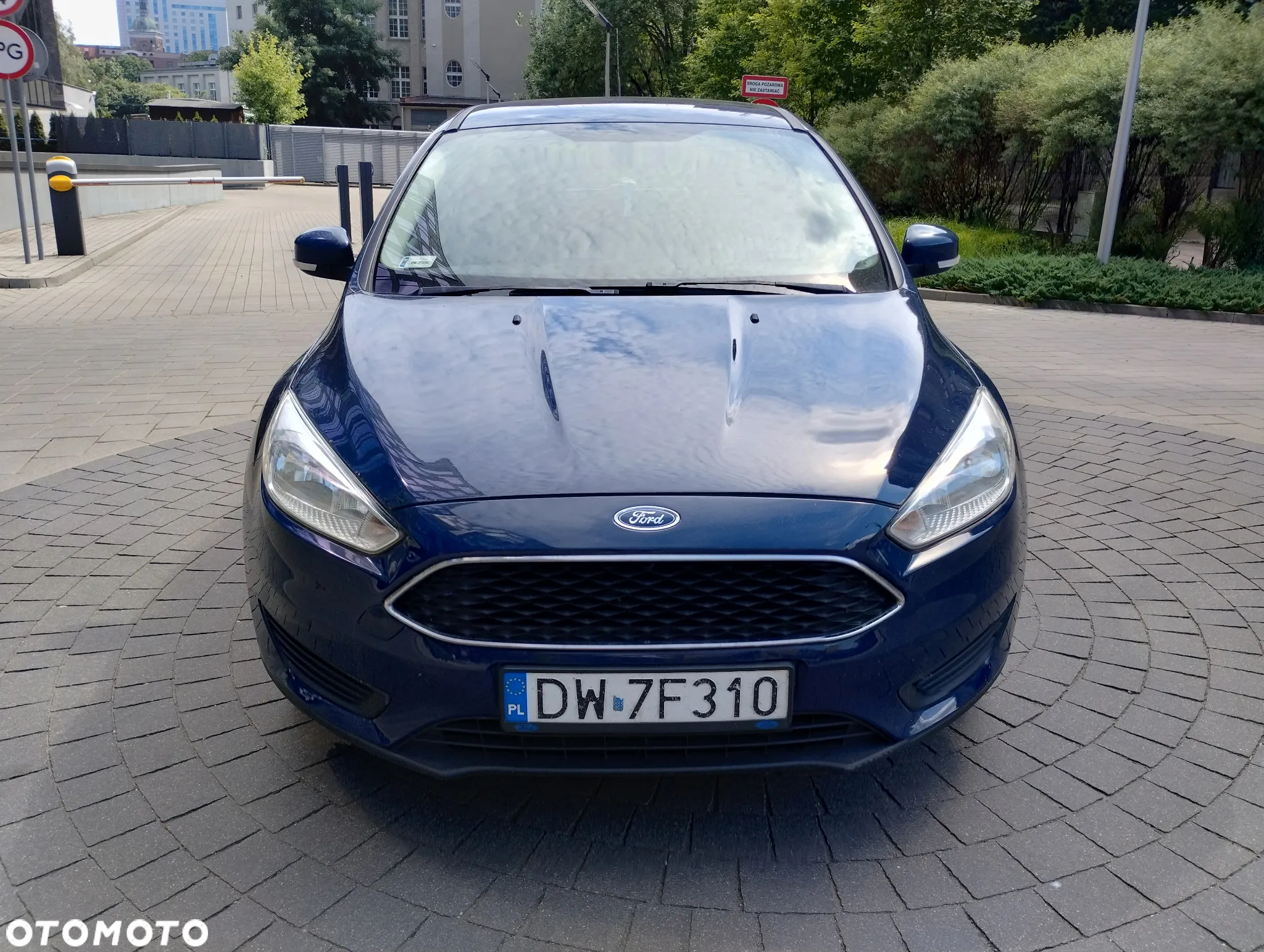 Ford Focus - 8