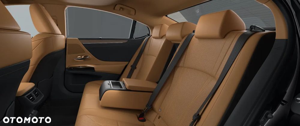 Lexus ES 300h Omotenashi - 5
