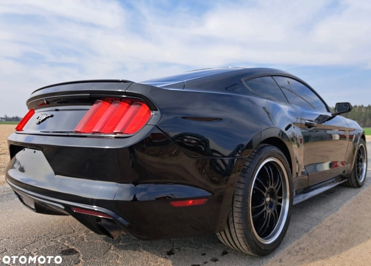 Ford Mustang 2.3 EcoBoost - 13