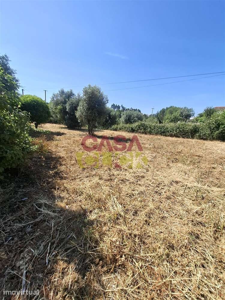 Terreno Urbano  Venda em Meia Via,Torres Novas - Grande imagem: 5/11