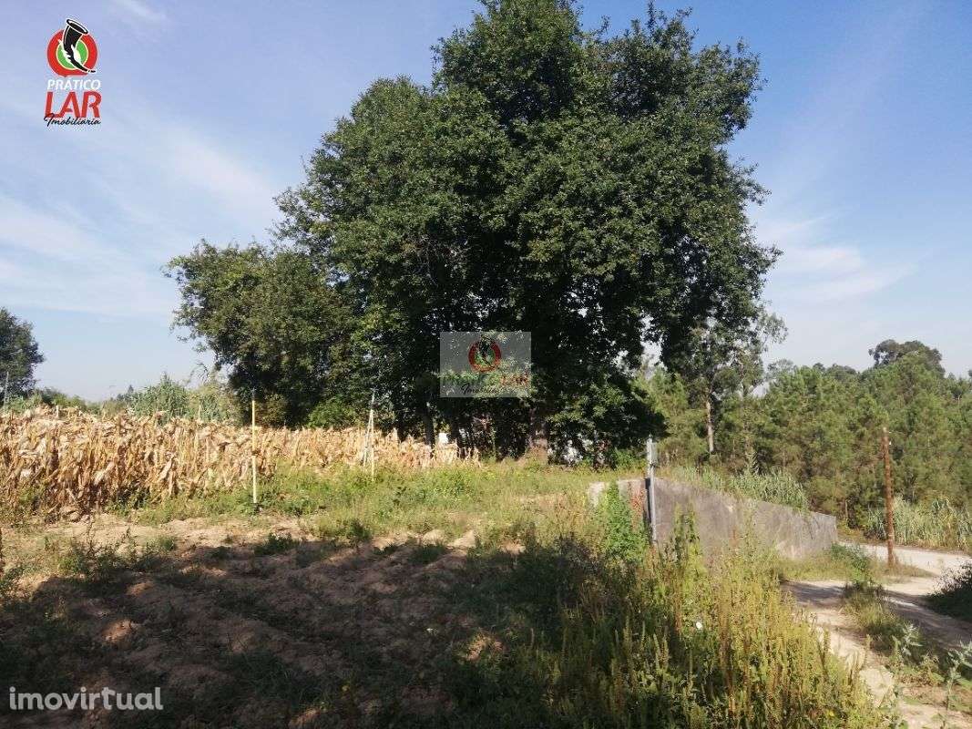 Lotes de terreno  no castelo na Palhaça - Grande imagem: 4/17