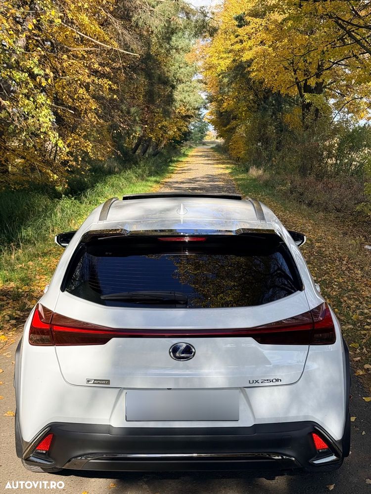 Lexus UX 250h (E-FOUR) F SPORT - 7