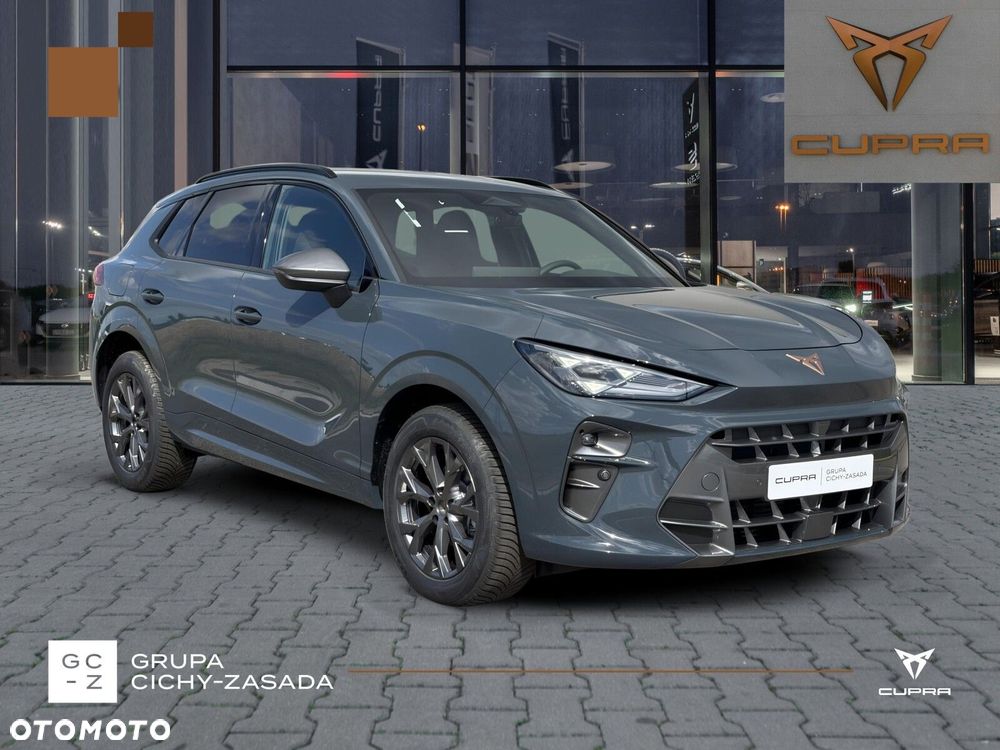 Cupra Terramar - 8