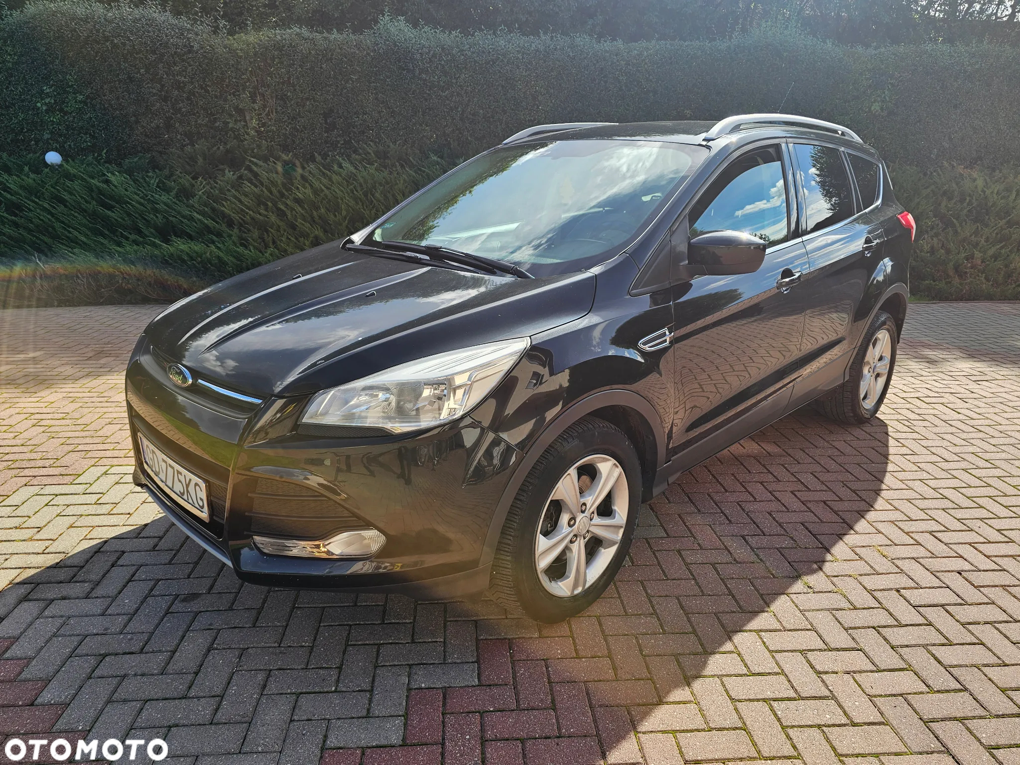 Ford Escape 1.5 EcoBoost AWD SE - 2