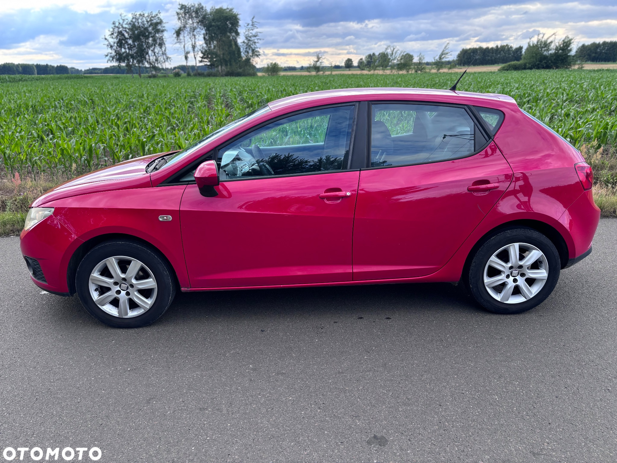 Seat Ibiza - 12