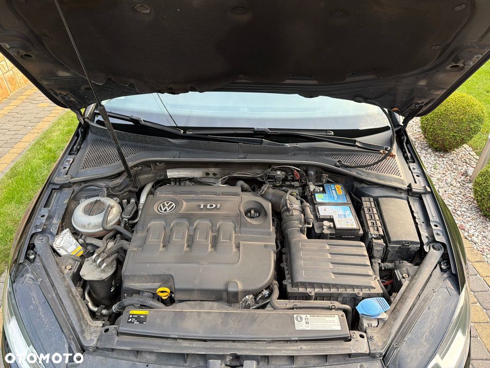 Volkswagen Golf - 8