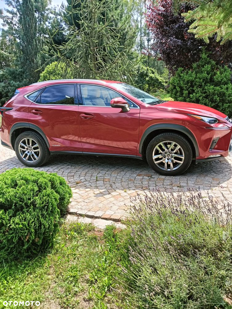 Lexus NX ver-300h-business-edition-awd - 5