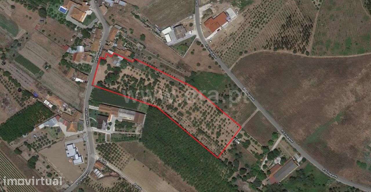 Terreno Urbano Vilarinho do Bairro | ERA Imobiliária - Grande imagem: 5/5