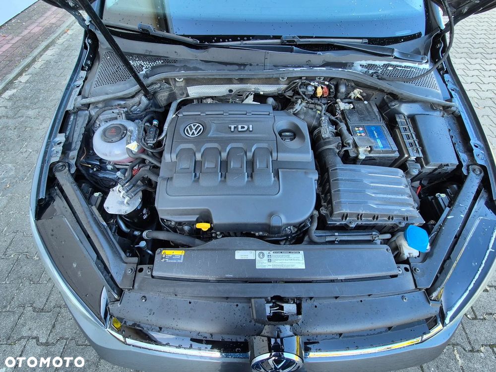 Volkswagen Golf - 18