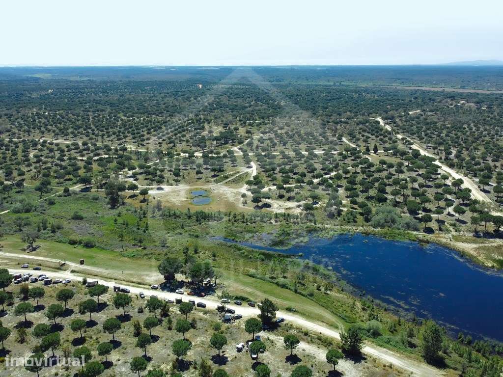 Terreno na Mata do Duque II, Santo Estêvão - Grande imagem: 3/6