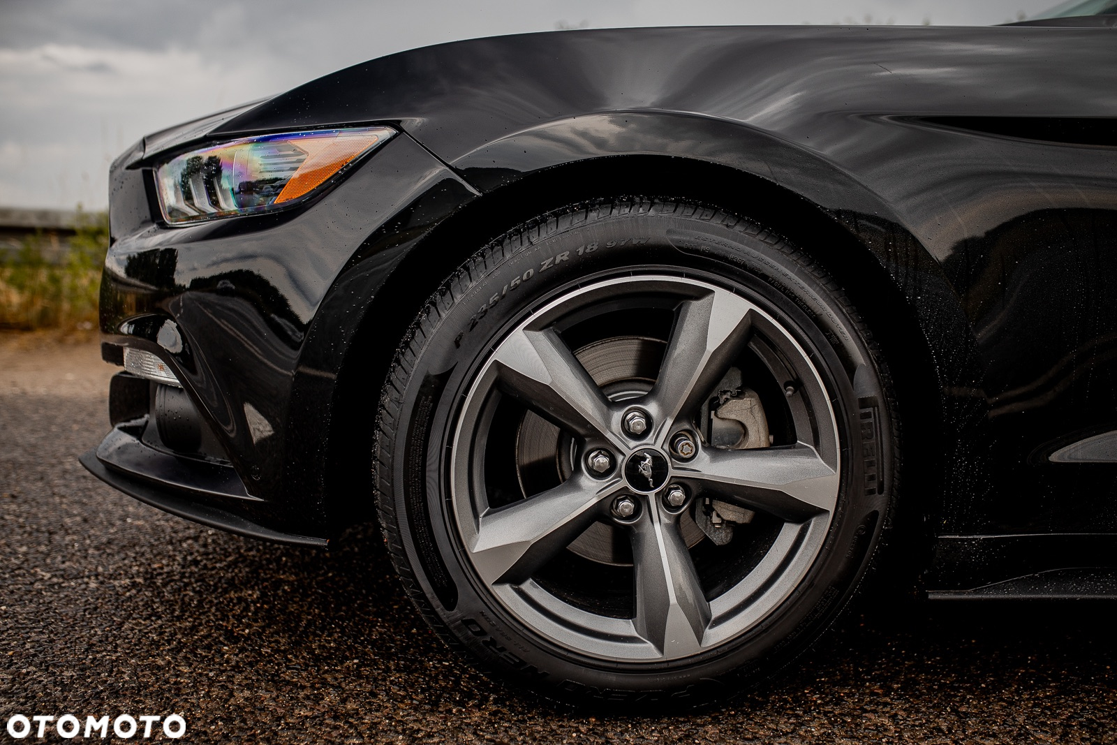 Ford Mustang 2.3 EcoBoost - 9