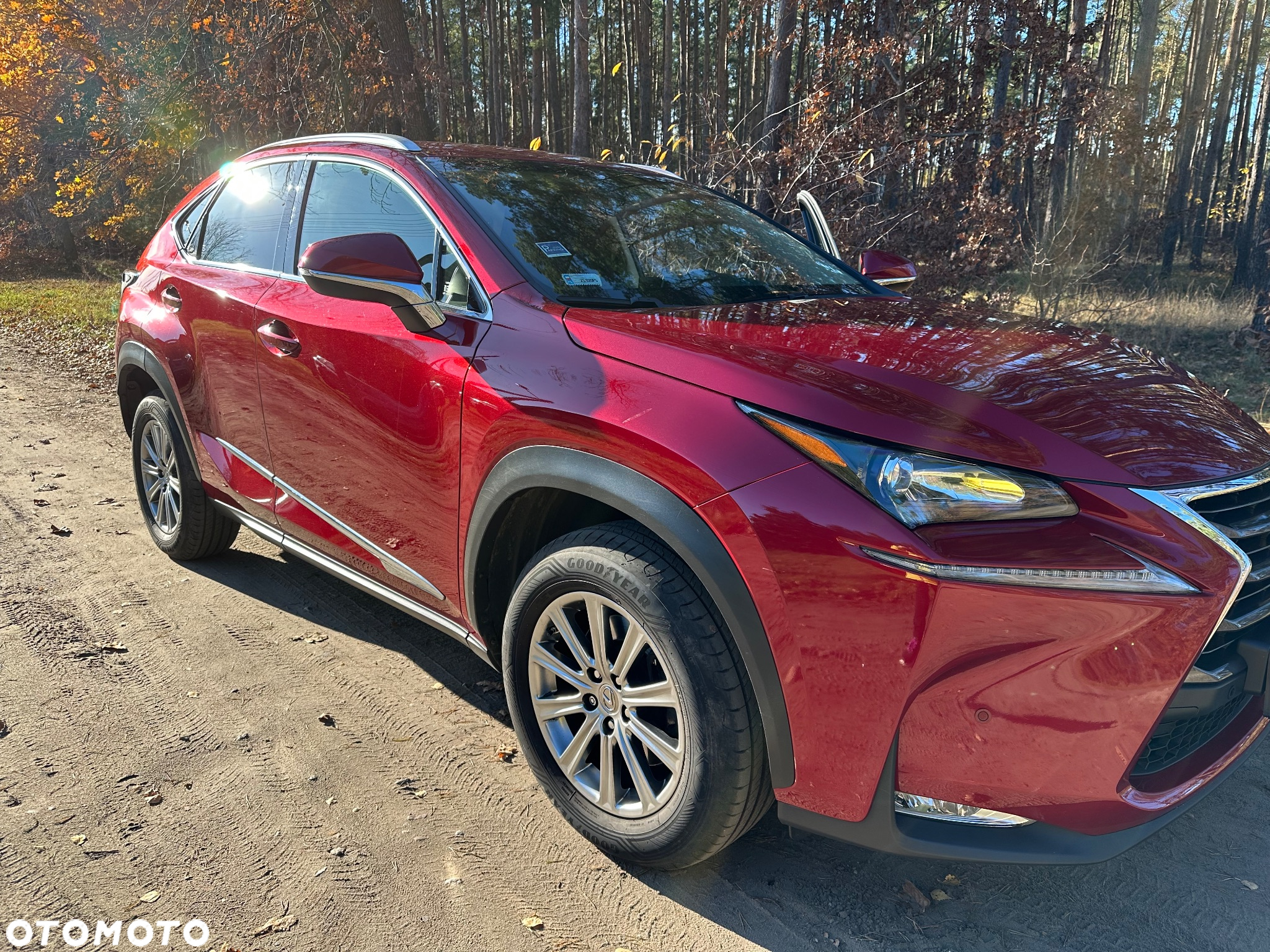 Lexus NX 200t Elite AWD - 2