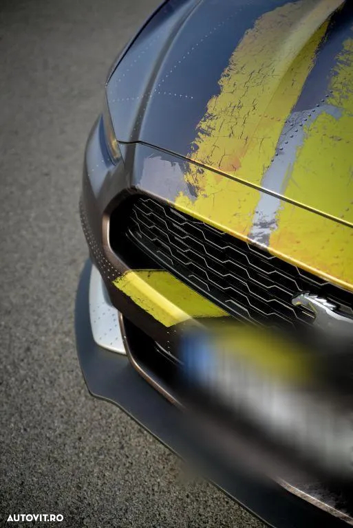 Ford Mustang 2.3 EcoBoost Aut. - 18