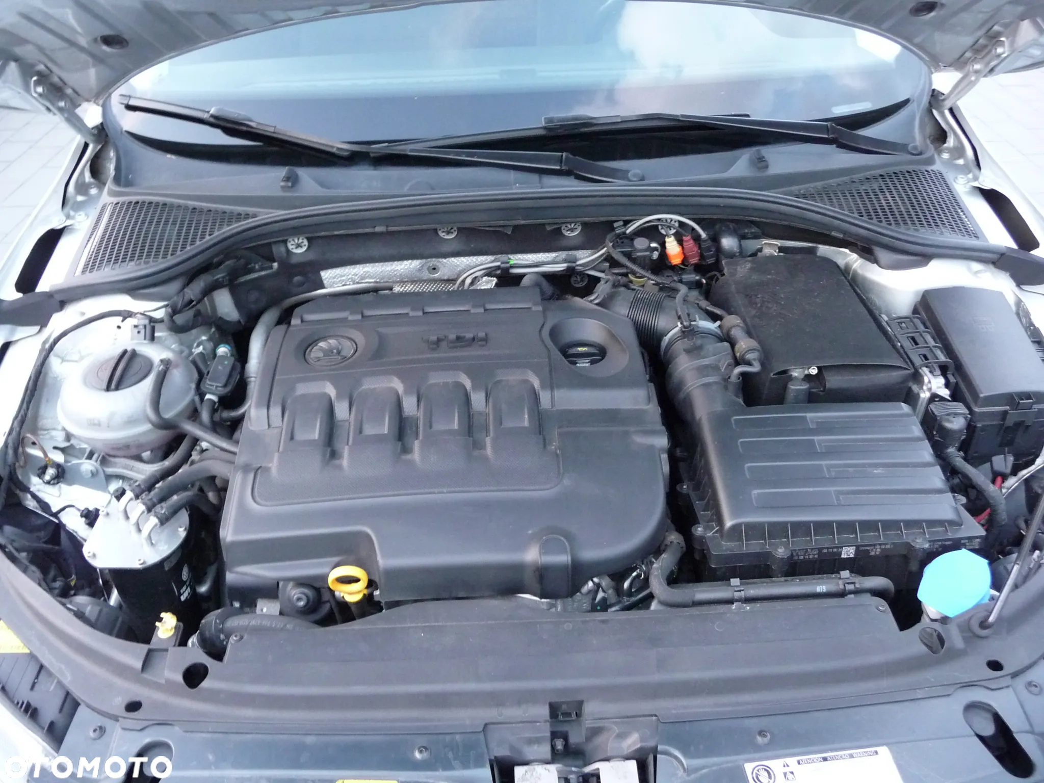 Skoda Octavia Scout 2.0 TDI 4x4 DSG - 10