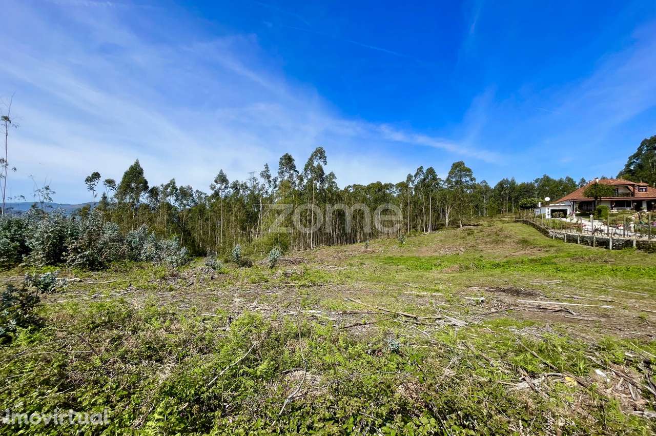 Terreno, 8 066 m², Gondoriz - Grande imagem: 5/21