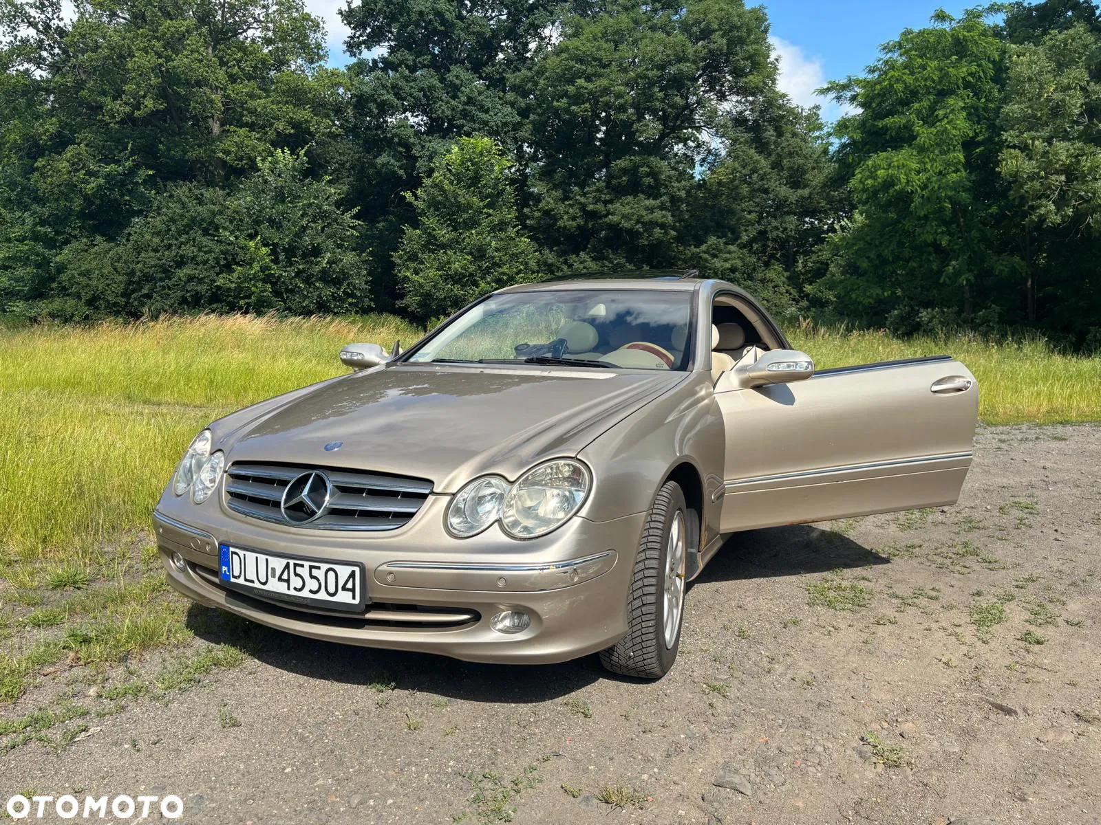 Mercedes-Benz CLK - 17