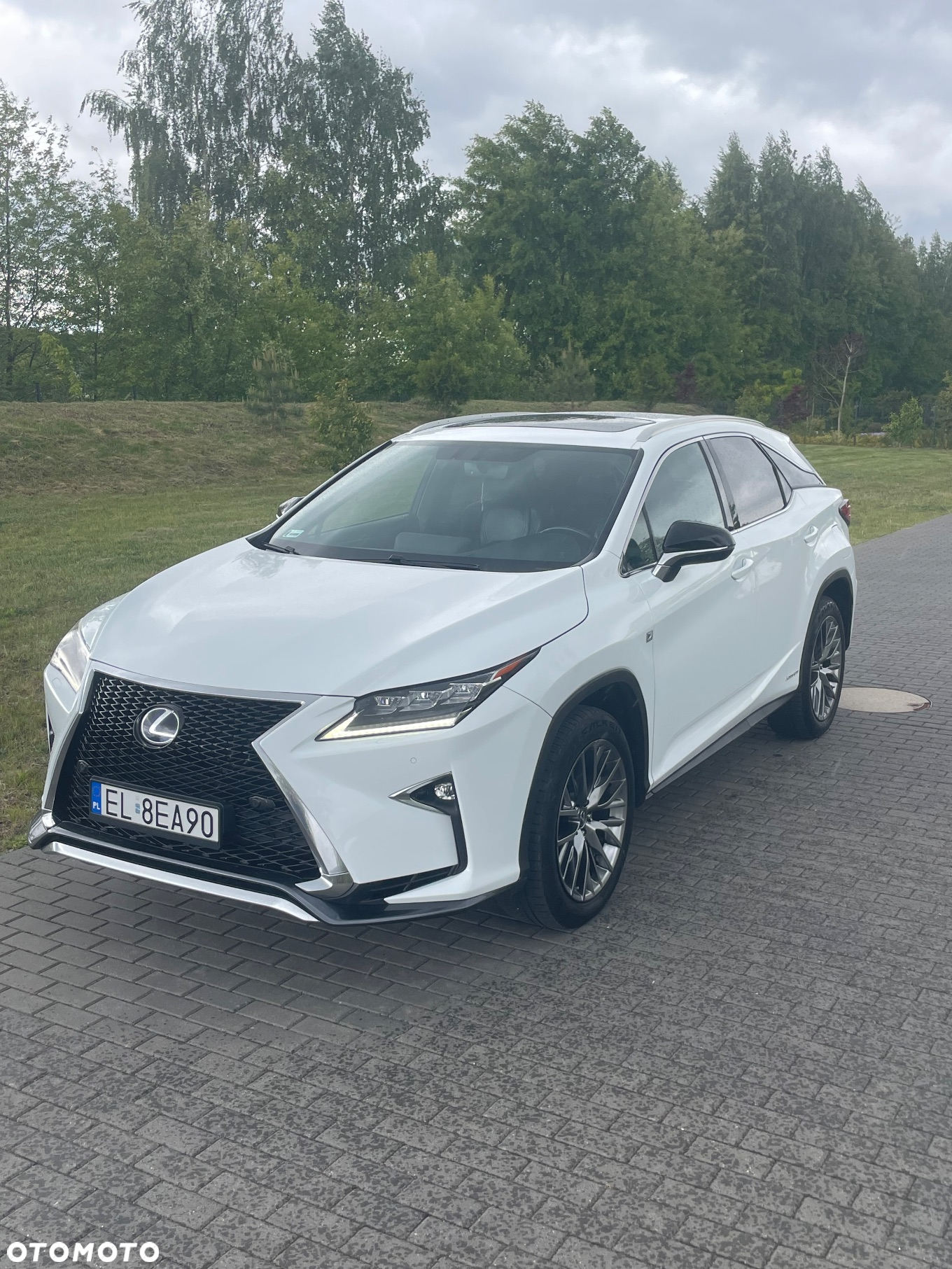 Lexus RX - 11