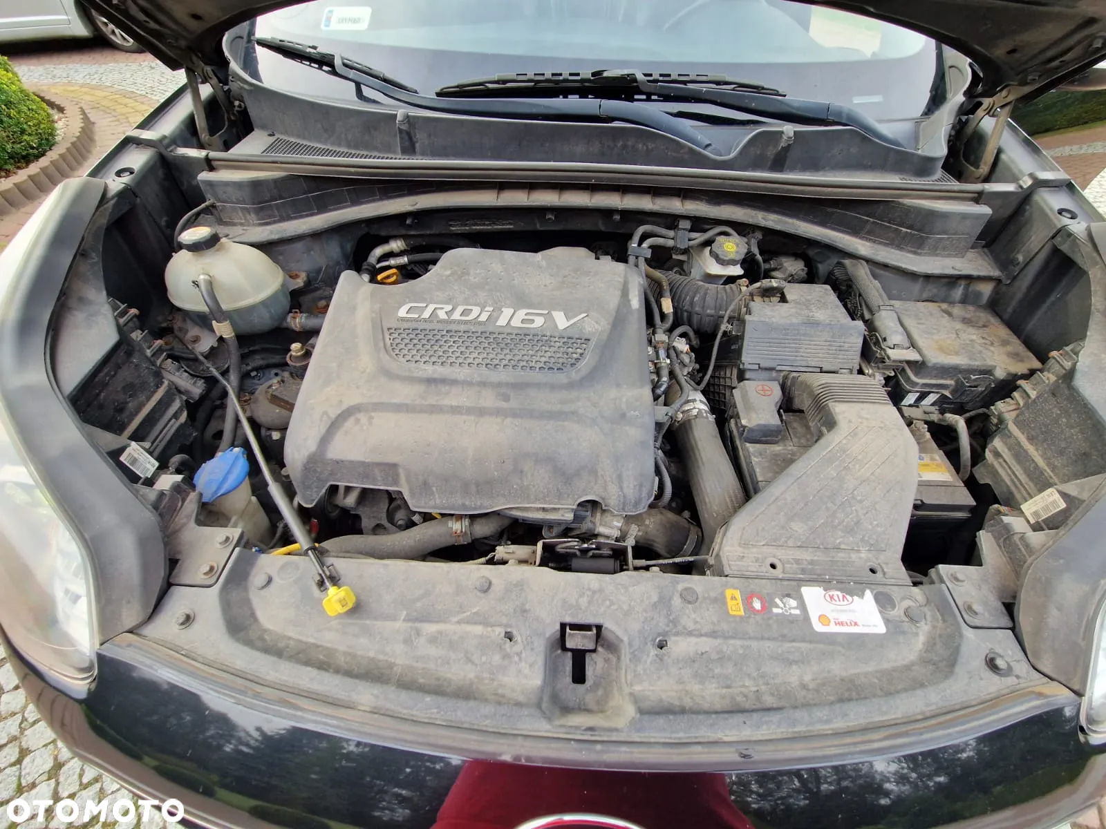 Kia Sportage - 26