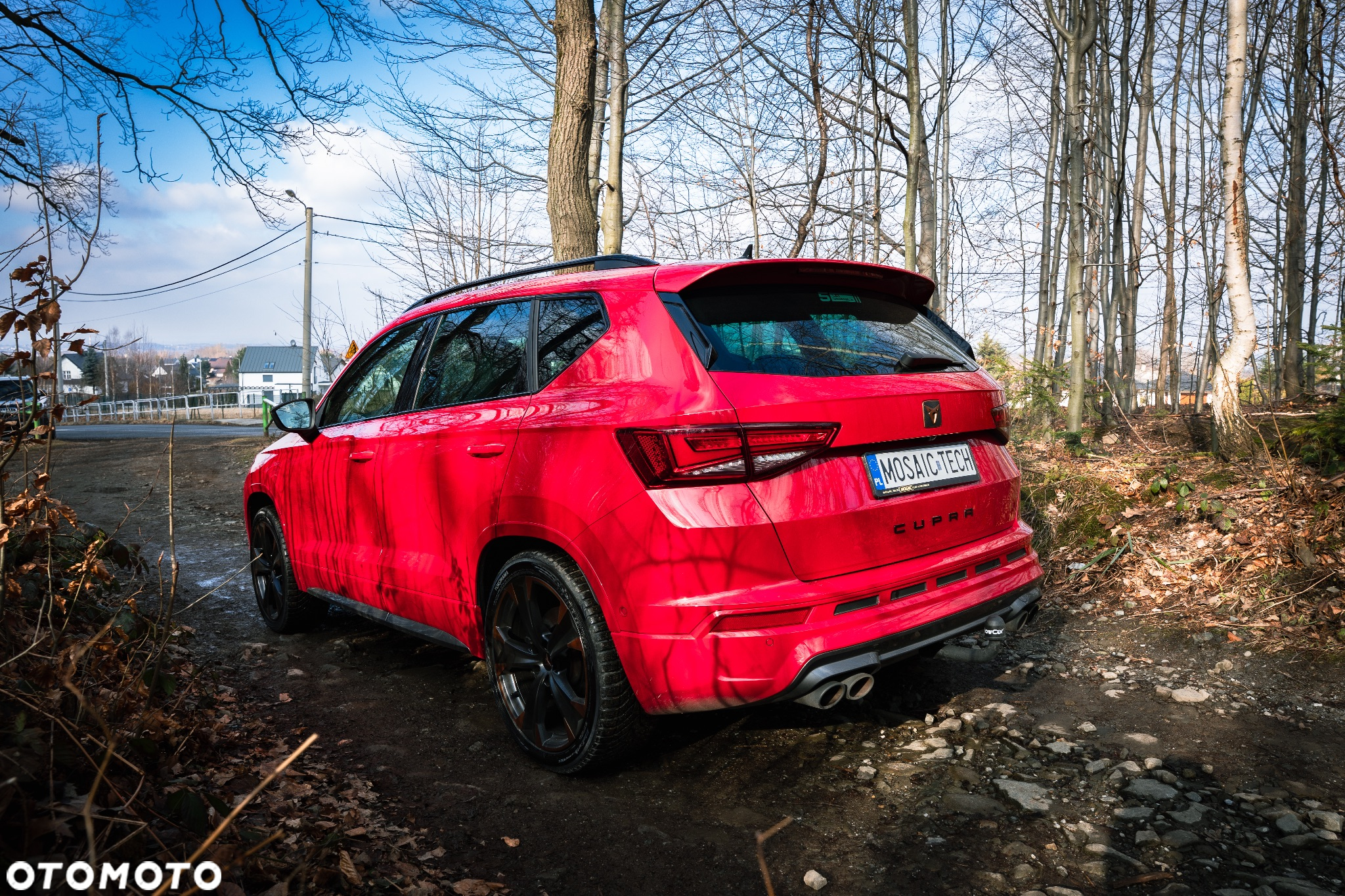 Cupra Ateca 2.0 TSI 4Drive DSG - 6