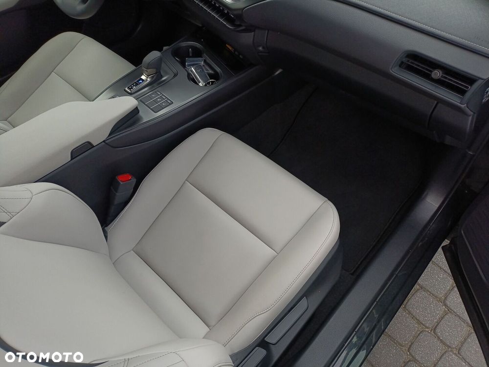Lexus UX 300h F Sport Design - 10