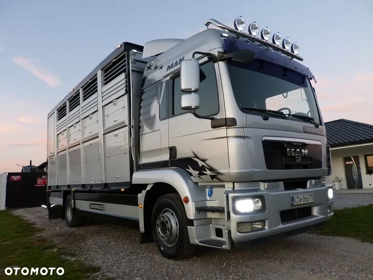 MAN TGM 15.290 DO ŻYWCA / ZWIERZĄT / BYDŁA / TRZODY CHLEWNEJ / WAGA EL. / NA PODUSZKACH / EURO 5 / DMC 16.000 KG - 11